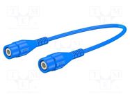 Test lead; BNC plug,both sides; Len: 1m; blue; Z: 50Ω; brass STÄUBLI