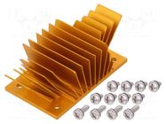 Heatsink: extruded; grilled; BGA; golden; L: 37mm; W: 58mm; H: 22.9mm Advanced Thermal Solutions