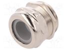 Cable gland; PG36; IP68; brass; Body plating: nickel HUMMEL