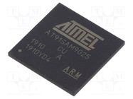 IC: ARM microprocessor; ARM926; 0.9÷1.1VDC; SMD; LFBGA217; PWM: 4 