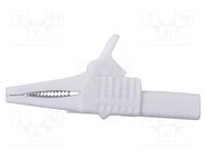 Crocodile clip; 30A; white; Grip capac: max.19mm; Socket size: 4mm MUELLER ELECTRIC