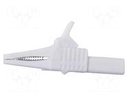 Crocodile clip; 30A; 1kV; white; Grip capac: max.19mm MUELLER ELECTRIC