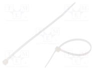 Cable tie; L: 300mm; W: 3.3mm; polyamide; 166N; natural; Ømax: 80mm TIE10