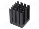 Heatsink: extruded; grilled; BGA; black; L: 19mm; W: 19mm; H: 24.5mm Advanced Thermal Solutions