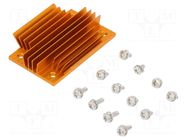 Heatsink: extruded; grilled; BGA; golden; L: 58mm; W: 37mm; H: 11.4mm Advanced Thermal Solutions