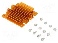 Heatsink: extruded; grilled; BGA; golden; L: 61mm; W: 58mm; H: 11.4mm Advanced Thermal Solutions