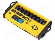 Kit: screwdriver bits; plastic cassette; Phillips,Pozidriv® C.K