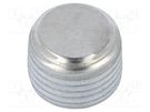 Hexagon head screw plug; without micro encapsulation; DIN 906 ELESA+GANTER