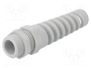 Cable gland; with strain relief,with long thread; M20; 1.5; IP68 HUMMEL