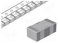 Filter: anti-interference; 1uF; SMD; 4VDC; ±20%; 0402; 180mm MURATA