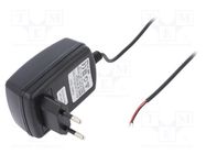 Charger: for rechargeable batteries; Li-Ion; 11.1V; 1A Everpower