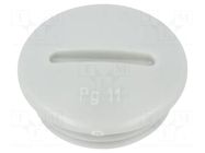 Stopper; PG11; polystyrene; light grey; 6mm OBO BETTERMANN