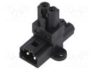 Transition: T adapter; male,female x2; EPN2; 16A; 250VAC; PIN: 2 AAG STUCCHI