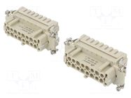 Connector: HDC; contact insert; female; DE; PIN: 32; 32+PE; UL94V-0 DEGSON ELECTRONICS