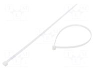 Cable tie; L: 380mm; W: 7.6mm; natural; polyamide; 533N; Ømax: 102mm FIX&FASTEN