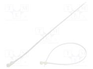 Cable tie; with a hole for screw mounting; L: 380mm; W: 4.8mm FIX&FASTEN