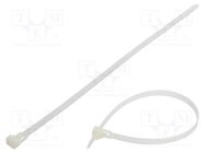 Cable tie; multi use; L: 300mm; W: 7.6mm; polyamide; 222N; natural FIX&FASTEN