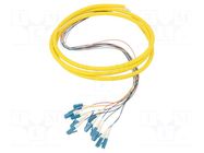 Optic fiber pigtail; LC/UPC,fiber; 2m; Input: fiber x12 QOLTEC