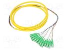 Optic fiber pigtail; SC/APC,fiber; 2m; Input: fiber x12 QOLTEC
