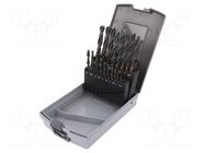 Drill set; for metal; high speed steel; plastic cassette; metal ALPEN-MAYKESTAG