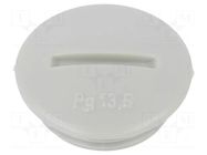 Stopper; PG13,5; polystyrene; light grey; 6.5mm OBO BETTERMANN