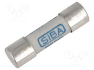 Fuse: fuse; gR; 10A; 1kVAC; ceramic,cylindrical; 10.3x38mm; URZ SIBA