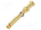 Contact; female; copper alloy; gold-plated; 0.5mm2; 20AWG; bulk DEGSON ELECTRONICS