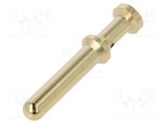 Contact; male; copper alloy; gold-plated; 2.5mm2; 14AWG; bulk; 40A DEGSON ELECTRONICS