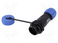 Plug; SP13; male; PIN: 5; with protective cap; IP68; 4÷6.5mm; 5A 