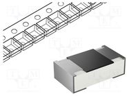 Resistor: thick film; high power; SMD; 0805; 13Ω; 0.3W; ±1% ROYAL OHM