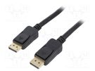 Cable; DisplayPort 1.4; DisplayPort plug,both sides; 1m; black QOLTEC