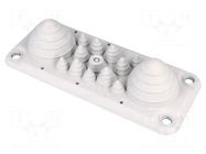 Multigate grommet; light grey; Holes no: 14; -40÷100°C; UL94V-0 TRELLEBORG