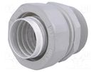 Straight terminal connector; Thread: PG,outside; -55÷300°C; IP67 ANAMET EUROPE