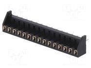 Connector: PCB to PCB; female; PIN: 15; 2.54mm; MDF7; tinned; THT HIROSE