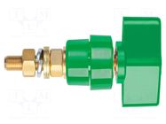 Laboratory clamp; green; 1kVDC; 100A; brass; polycarbonate; 81mm SCHÜTZINGER