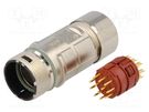 Connector: M23; plug; PIN: 12; male; soldering; for cable; straight LAPP