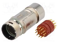 Connector: M23; plug; PIN: 17; male; soldering; for cable; straight LAPP