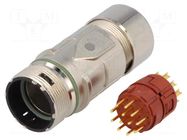 Connector: M23; plug; PIN: 12; male; soldering; for cable; straight LAPP