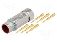 Connector: LS1; plug; PIN: 6; male; crimped; for cable; straight LAPP