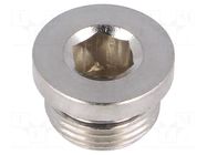 Protection cap; max.75bar; nickel plated brass; Thread: G 3/8" PNEUMAT