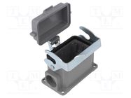 Enclosure: for HDC connectors; size D10B; with latch; with cover DEGSON ELECTRONICS