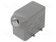 Enclosure: for HDC connectors; size D10B; for cable; angled; M20 DEGSON ELECTRONICS