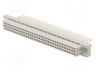 Connector: DIN 41612; plug; female; PIN: 64; straight; 2A; a+c; 13mm HARTING