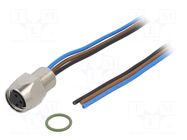 Connector: M8; 0.5m; female; PIN: 3; IP67; socket; 0.22mm2 LUMBERG AUTOMATION
