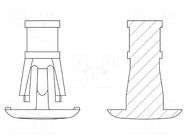 Assembly stud; polyamide 66; L: 6.4mm; snap fastener; natural DREMEC