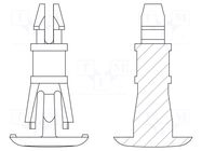 Assembly stud; polyamide 66; L: 7.9mm; latch/latch; natural; 8G820 DREMEC