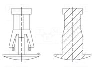 Assembly stud; polyamide 66; L: 8mm; snap fastener; natural DREMEC