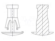 Assembly stud; polyamide 66; L: 8mm; snap fastener; natural; 8G820 DREMEC