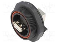 Cable; USB Buccaneer; USB A socket,5pin plug; IP68; PIN: 4; 0.1m BULGIN