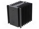 Heatsink: extruded; for one phase solid state relays; black STONECOLD